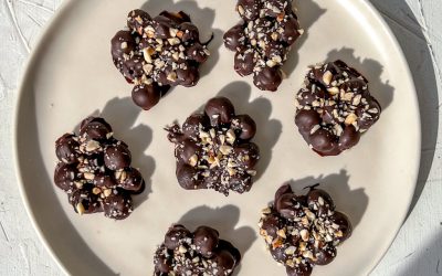 Blueberry Chocolate Bites